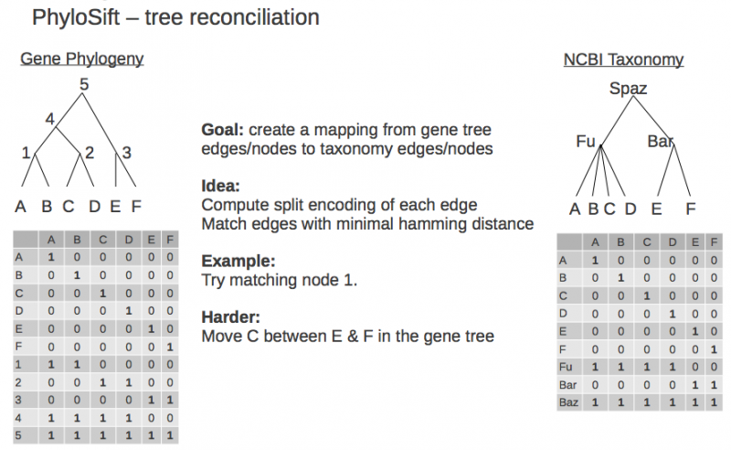 File:MetgenomicTreeReconciliation2.png