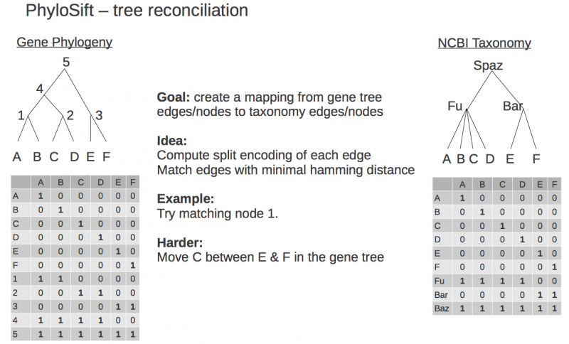 File:MetgenomicTreeReconciliation.png